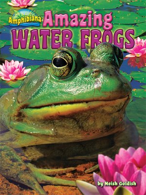 cover image of Amazing Water Frogs